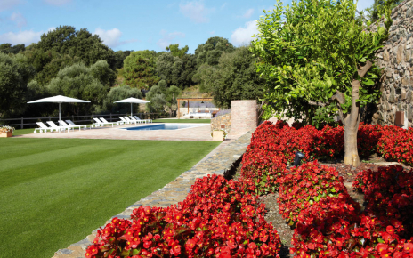 Landscaped gardens look good all seasons